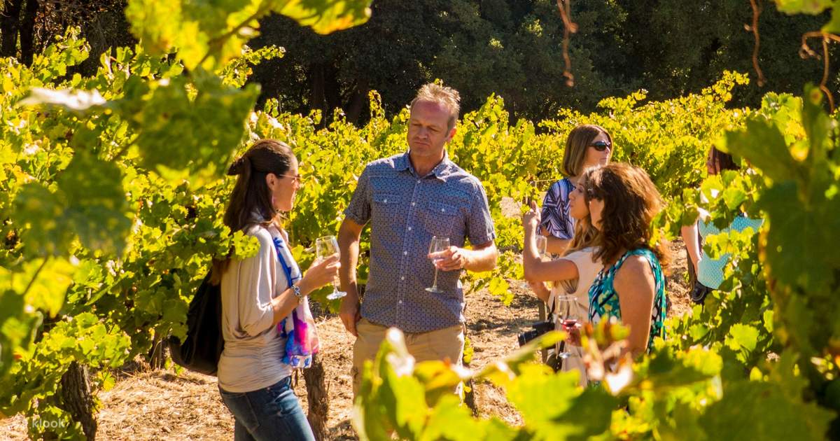 Sonoma Valley Half Day Wine Country Tour from San Francisco Klook